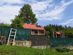 Image00045